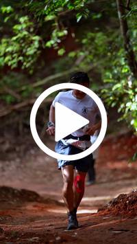 BIB:  <button type="button" onclick="openModal(27330398)" class="btn btn-primary btn-sm float-right" data-toggle="modal" data-target=".modal-high-quality">
                <i class="fa fa-download"></i> Download
                </button>